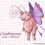 Cerdiriposa